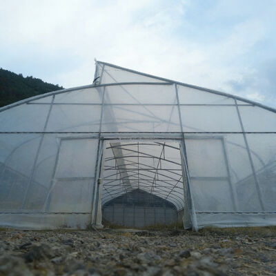 comprar Mini Estufa Agrícola Monopanel Verde para Hortaliças, Flores, Tomates, Uso Agrícola e de Jardim, Criação de Caracóis online manufacture