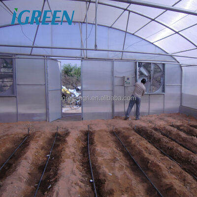 comprar Invernadero de lámina de PE y PC de un solo tramo para regiones cálidas y áridas - Invernadero agrícola resistente al calor online manufacture