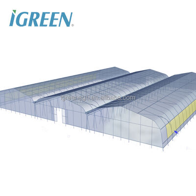 Buy Commercial Large Single Layer Film Greenhouse with Cooling Pad Fan Internal External Shading Drip Irrigation Hydroponics System online manufacture