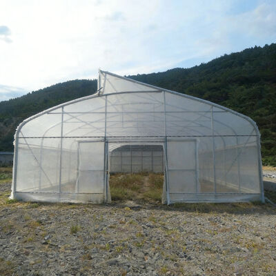 kopen 200 micron film kas 60 mm warm gedompeld gegalvaniseerd rond buis dak vast raam insectennet voor tropische hoge temperatuur vochtige gebied online manufacture