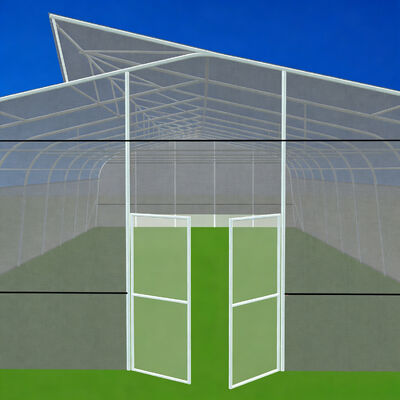 Buy Tropical Single-Span PE Greenhouse 200 Micron Film 60mm Galvanized Pipe Insect Screen Roof Window Heat Exhaust Easy Installation online manufacture