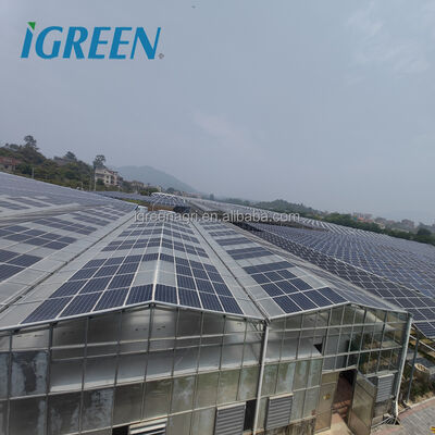 Mua Photovoltaic Lớn Multi-Span nông nghiệp nhà kính tấm pin mặt trời với PC tấm phủ cho sự phát triển thực vật 10+ năm bảo hành online manufacture