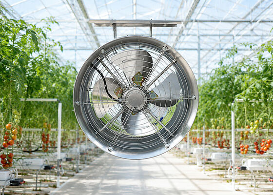 kopen Industriële HAF Kasventilator | Circulatieventilator voor hotspots online manufacture