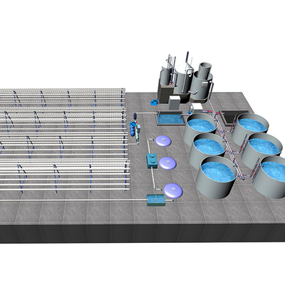 Advanced Agricultural Aquaponics Grow System Commercial Aquaponics System