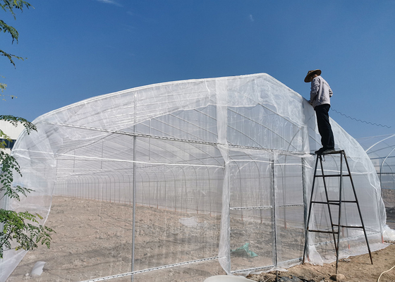8x6 Value Greenhouse | Weatherproof UV-Resistant for Commercial & Home Gardening