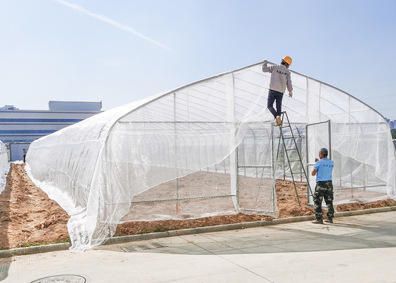 Advanced Clear Anti Drip Steel Frame Greenhouse Poly Tunnels For Gardens