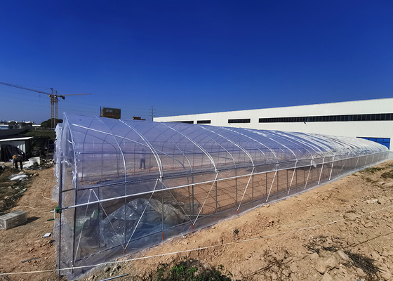 Vegetable Growing Single Span Greenhouse With Shade Net Covering Material Anti-UV Film