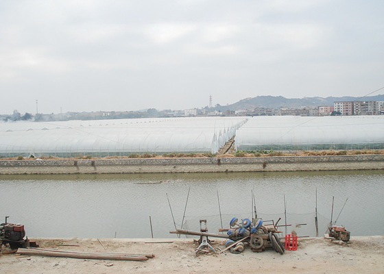 Efficient Single Span Greenhouse Strong Adaptability Suitable For Cultivation