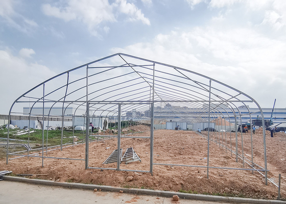 Galvanized Frame Single Span Greenhouse For Thriving Vegetables Poly Tunnel Garden