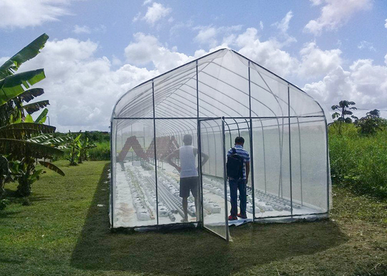 UV Protection Small Polycarbonate Greenhouse Mini Tunnel Greenhouse With Rust Proof Frame