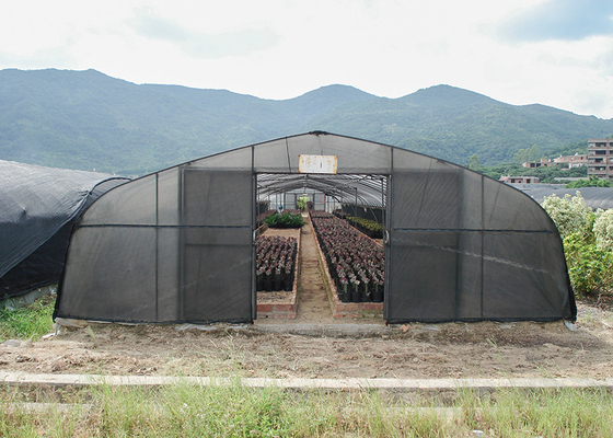 Economical Easy Install Plastic Polytunnel Greenhouse For Edible Mushroom Cultivation