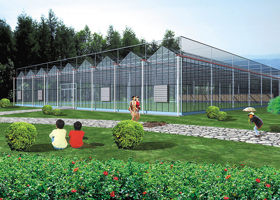 Sturdy Structure, Adjustable Climate VENLO Glass Greenhouses For Strawberry & Flower Cultivation
