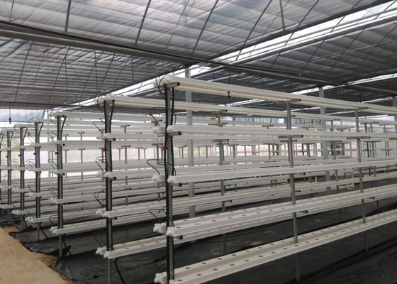 Vertical Automated Pvc Nft Hydroponics System Nft Hydroponic Farm