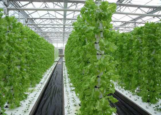 Space Saving Vertical Nft Hydroponic System Eco Friendly Recycles Water Resources