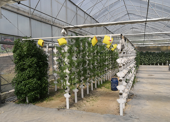 Multi Tier NFT Hydroponics System Strong Adaptability For High Density Planting