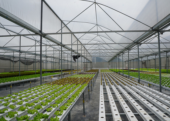 Disease Resistant NFT Hydroponic System UV Sterilization Included Vertical Hydroponic System