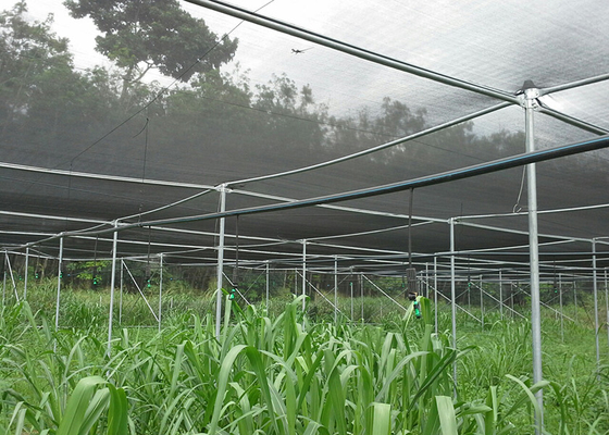 No Welding UV Blocking Shade Net House For Recreational Areas