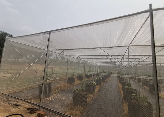 Strong Frame Metal Frame Greenhouse For Potted Flower Cultivation