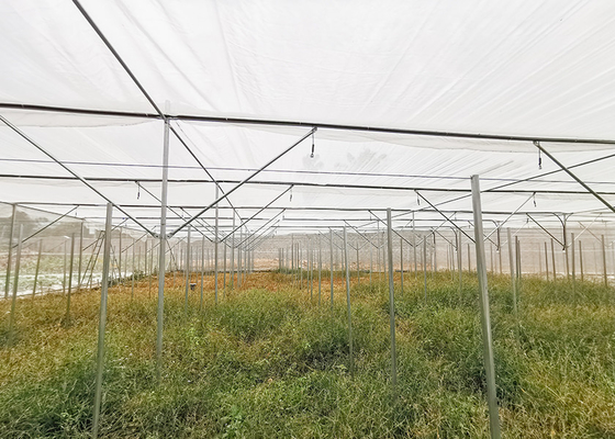 HDPE Anti Insect Weather Proof Greenhouse 2-5 Meter Height Reducing Natural Disasters