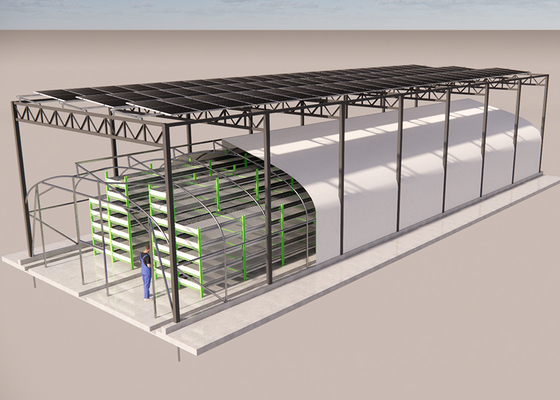Solar Powered Black Film Greenhouse Mushroom Farming Strong Plastic Greenhouse