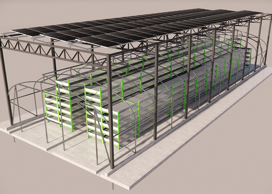 Eco Friendly Outdoor Mushroom Greenhouse With Integrated Photovoltaic Roof System
