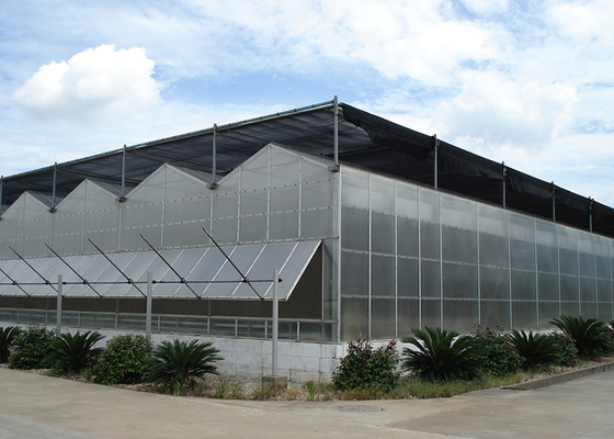 Corrosion-Resistant Waterproof Polycarbonate Sheet Geenhouse With Automatic Ventilation System, Ideal For Vegetable Growing