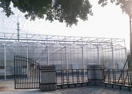 Cold Resistant Double Layer Commercial Venlo Polycarbonate Sheet Geenhouse with misting system