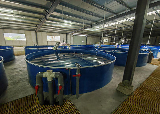 Buy fish farming ras system, Good quality fish farming ras system ...