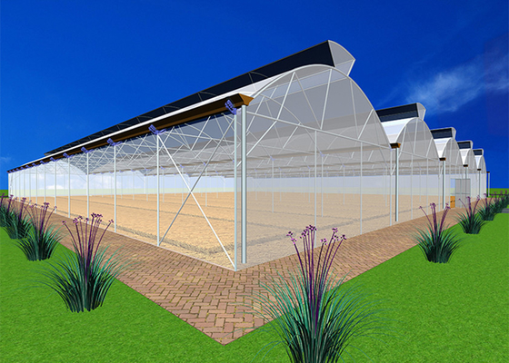 Transparent Reliable Clear Plastic Green House Poly Greenhouse Kits