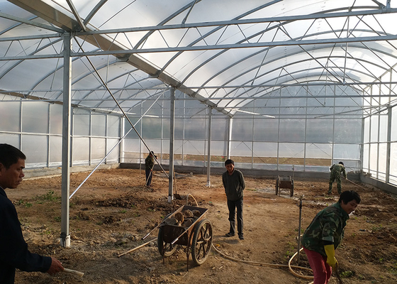 Industrial Flower Commercial High Tunnel Greenhouse With Fixed Roof Windows
