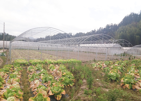 Durable Heavy Duty Commercial Greenhouse Woven Weather Resistant