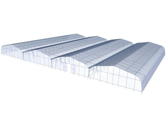 Large Polyethylene Multi Span Greenhouse 200 Micron UV Resistant