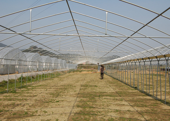 Smart Strawberry Plastic Outdoor Greenhouse Large Commercial Greenhouse