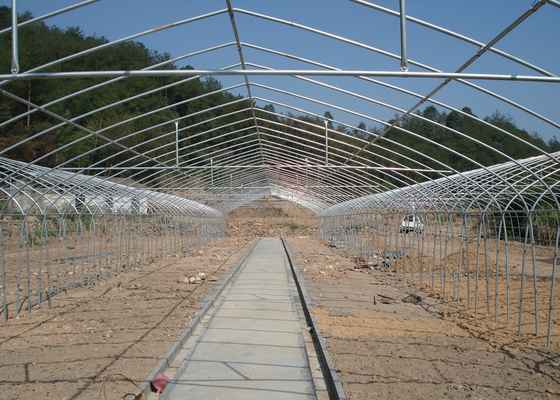 Poly No Welding Hydroponic Greenhouse Systems With Hydroponics Growing System