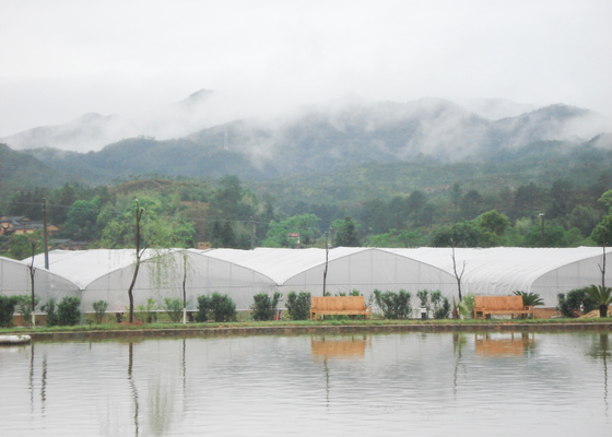 Plastic Heavy Duty Multi Span Greenhouse Suitable For Agricultural Planting