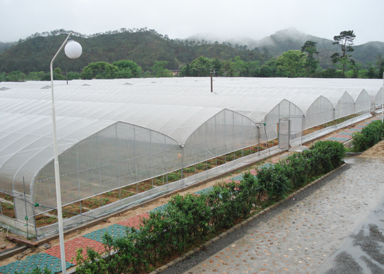 Agricultural Vegetable Commercial Poly Tunnel Greenhouse With Plastic Cover