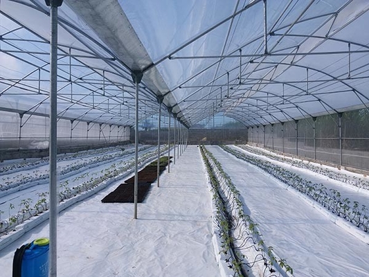 Agricultural Pvc Greenhouse Kits Poly Tech Greenhouse For Tomato Farming