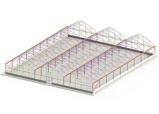 Galvanized Steel Frame Plastic Film Greenhouse For Vegetable Farming