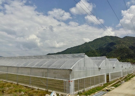 Hot-Dipped Galvanized Large Greenhouse with UV-Resistant Plastic Cover