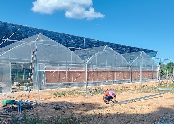 Easy-Assembly Galvanized Poly Multi-Tunnel Green House With Heavy-Duty Plastic Cover