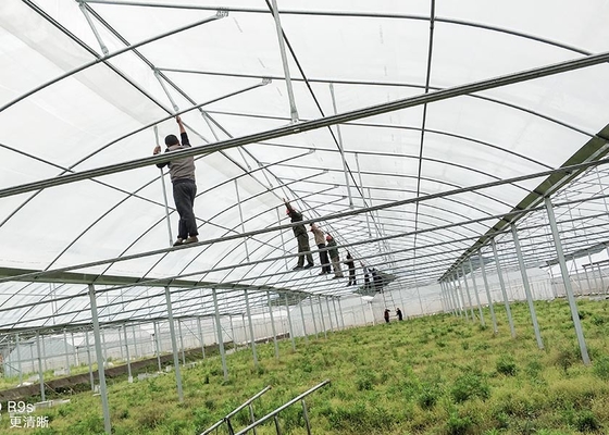 Custom Growers Solution Commercial Polytunnel Plastic Greenhouse For Island Countries