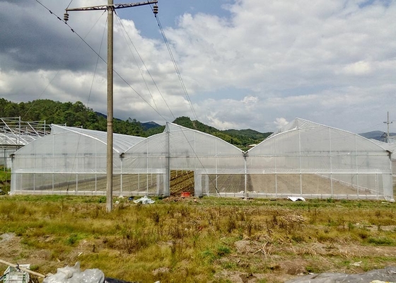 Rustproof Galvanized Greenhouse With Anti-Hail Plastic Film For Harsh Climates
