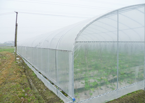 Single Tunnel Agriculural Greenhouses Polytunnel Berry Greenhouse