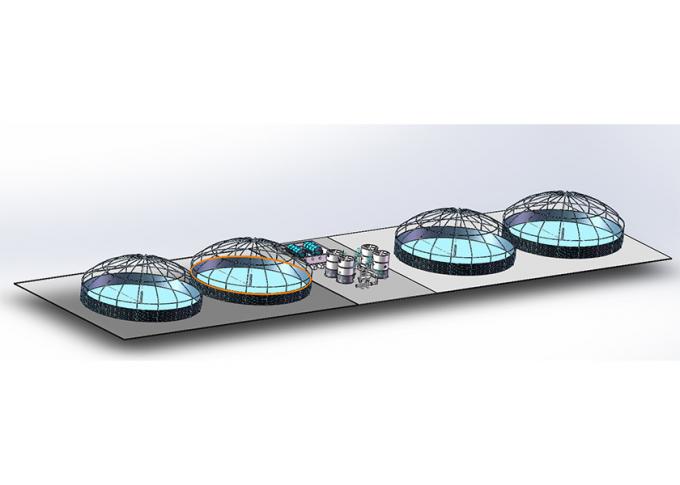 Recirculating Aquaculture System for Tilapia & Fish Farming